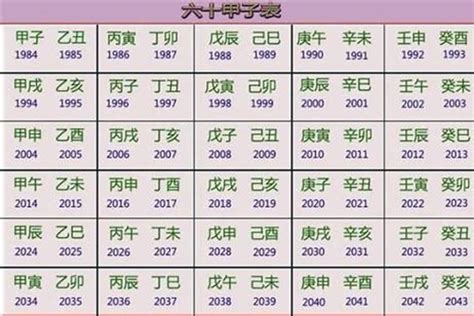 2028年五行属什么|2028年属什么 2028年属什么生肖的宝宝